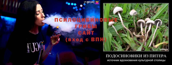 стафф Липки