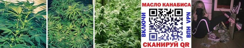 купить наркотик omg Дистиллят ТГК THC oil Медвежьегорск
