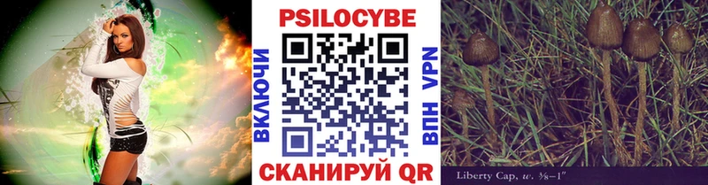 где можно купить Медвежьегорск OMG ссылки Галлюциногенные грибы ЛСД